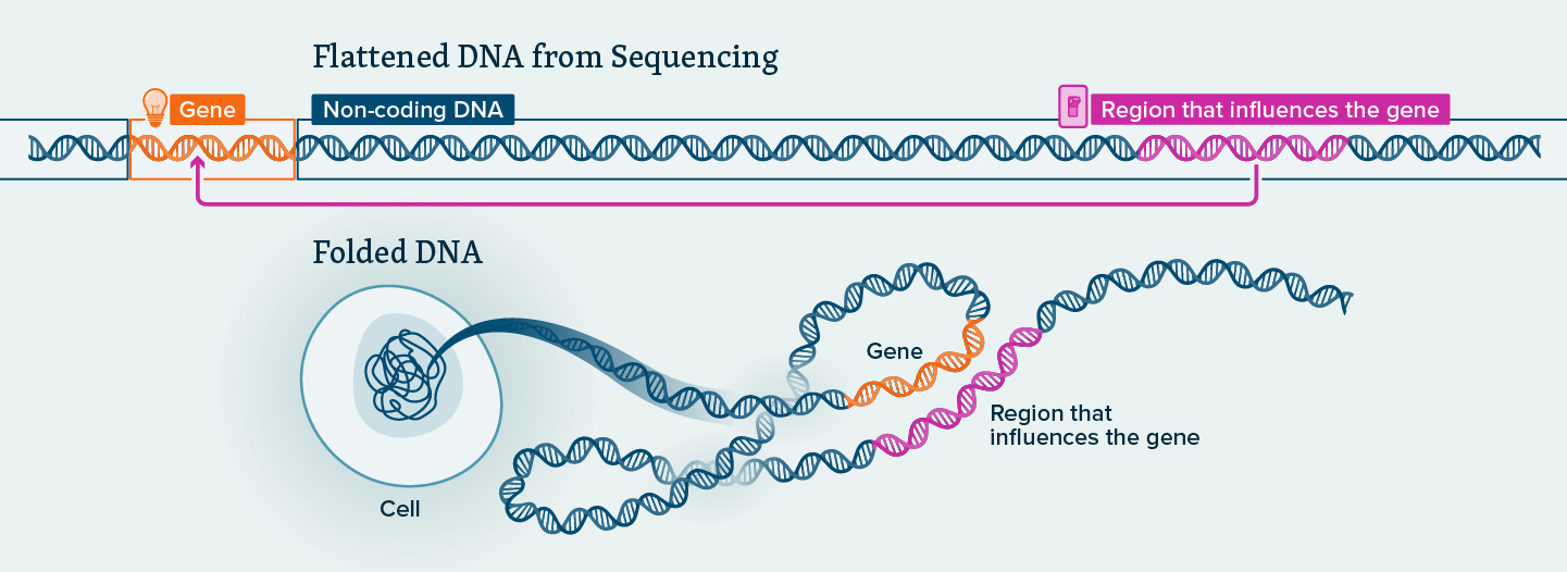 How AI Is Pinpointing the Genetic Cause of Disease